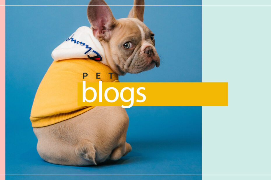 Pet-Blogs